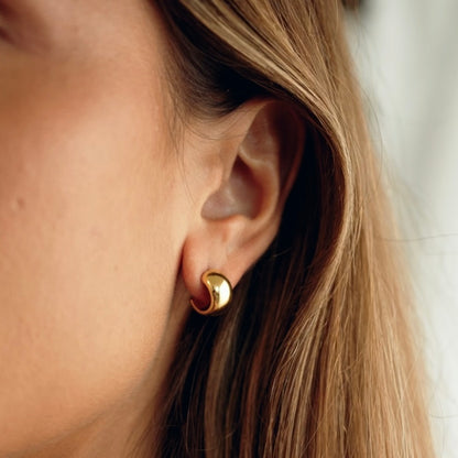 Ava | Mini Chunky Hoop Stud 18K Gold PVD