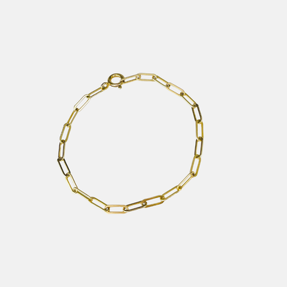 Aspen | 14k Gold filled Paperclip Anklet