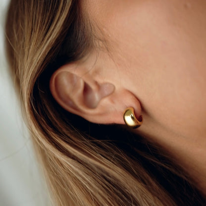 Ava | Mini Chunky Hoop Stud 18K Gold PVD