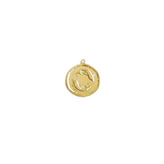 Pisces Medallion Charm
