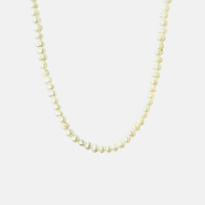 Riley | 14K Gold filled Dainty Pearl Necklace